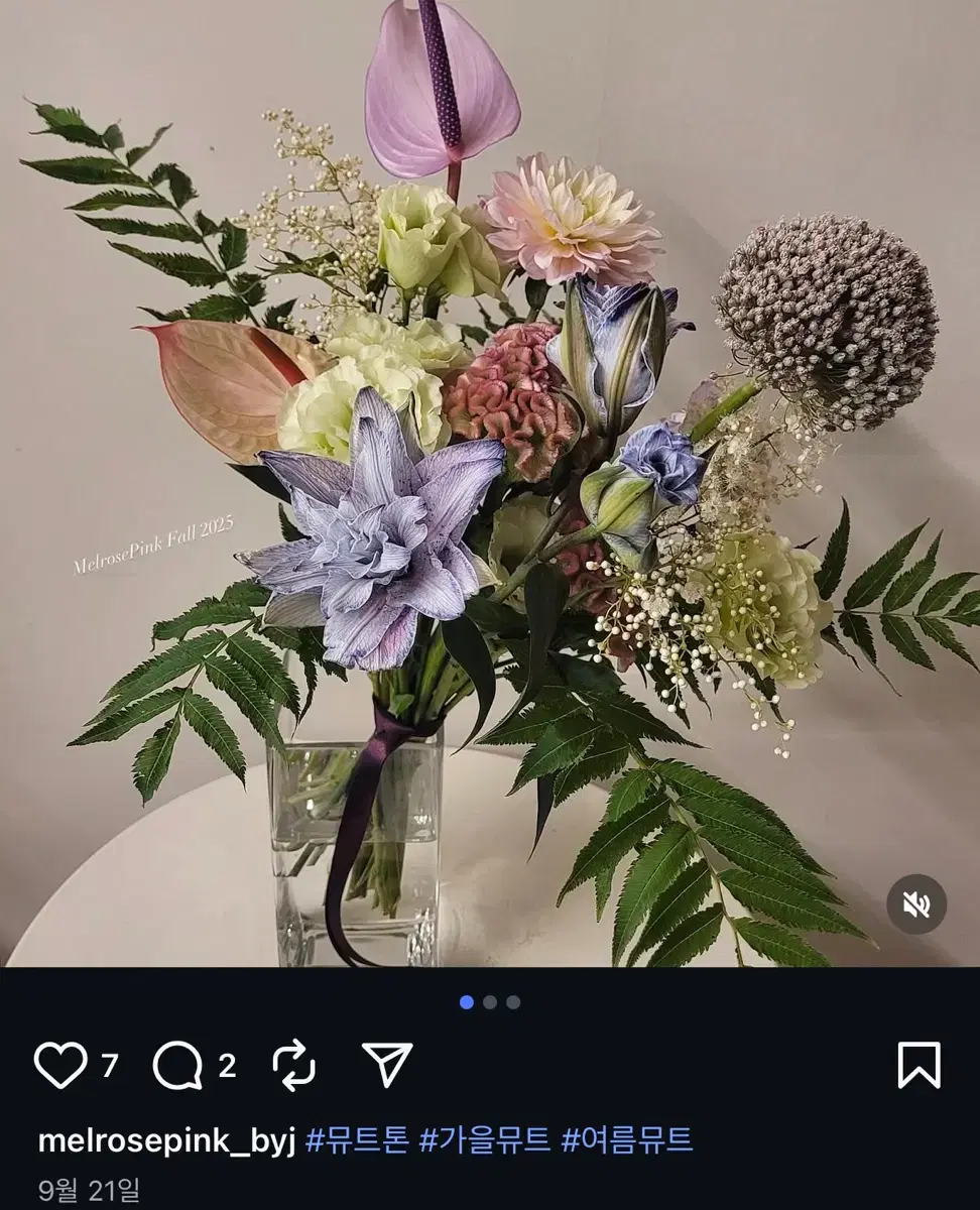 PHIGVEL ☆HICKOK BELT ☆32 ☆D.BROWN×SILVER PHIGVEL HICKOK